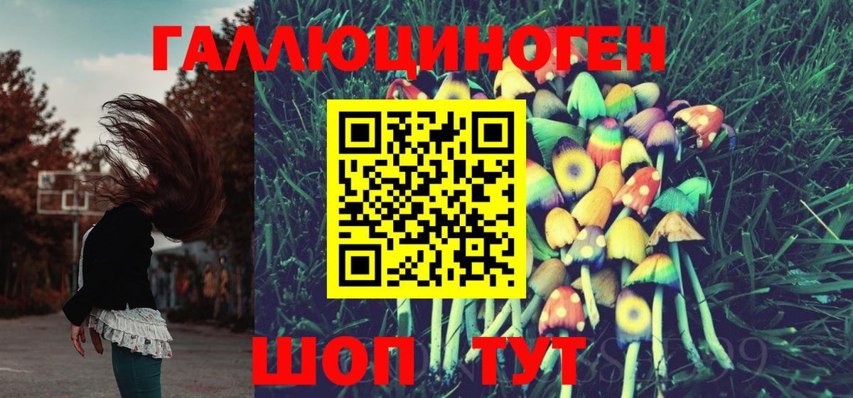 Псилоцибиновые грибы GOLDEN TEACHER  магазин продажи наркотиков  Набережные Челны  Вход с VPN 